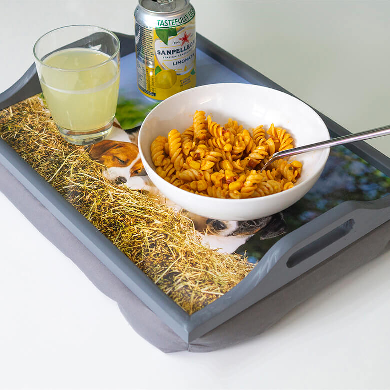 Food trays best sale for lap