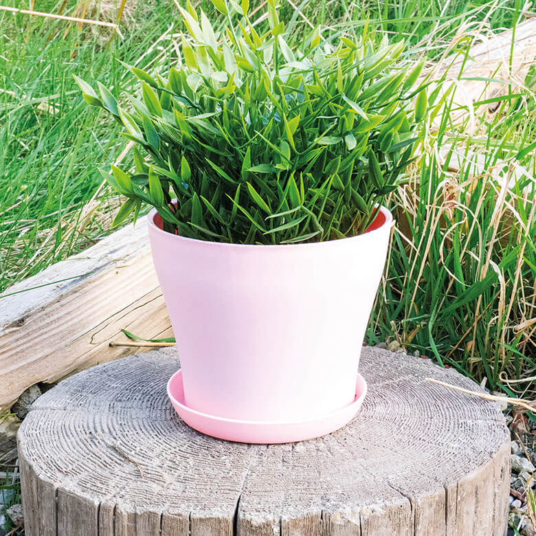 Plastic Plant Pot 10.5x9cm Pink
