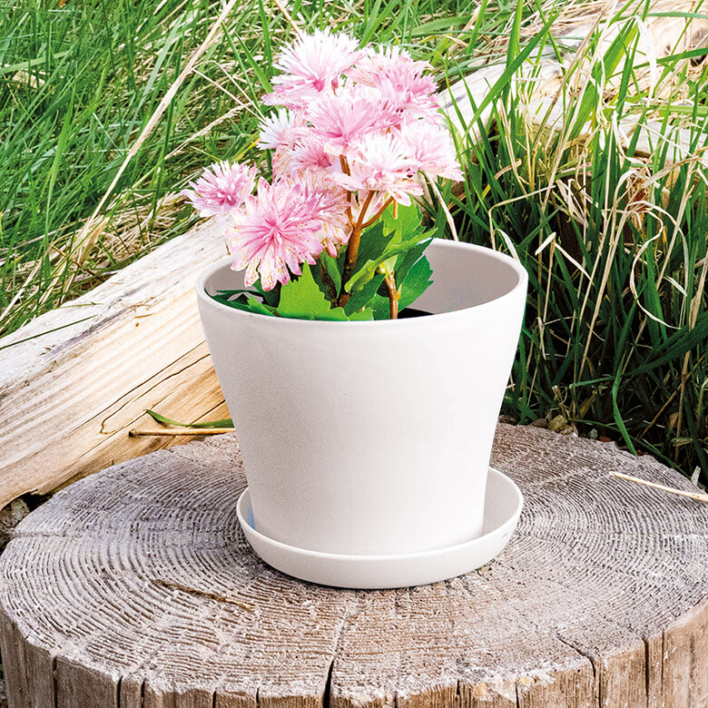 Plant pots shop