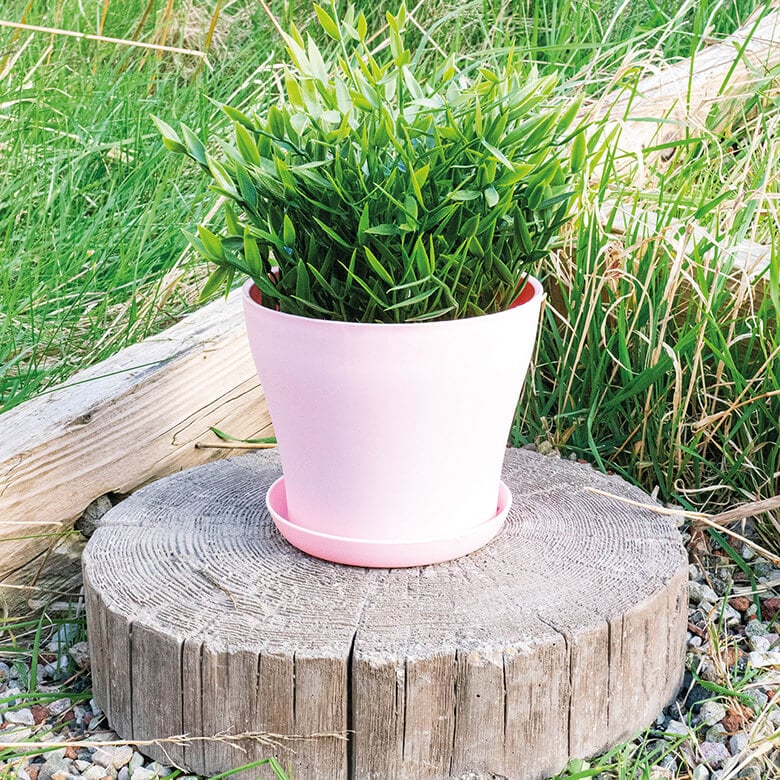 Plastic Plant Pot - 16x12.5cm - Pink | Coopers Of Stortford
