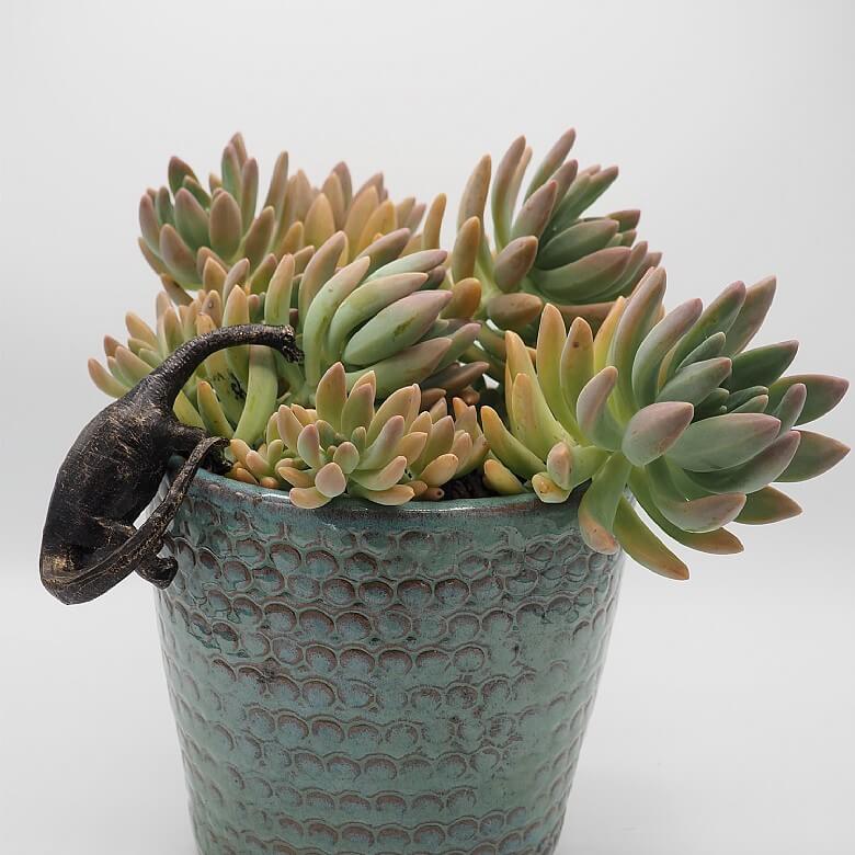 Pot Buddies T-Rex Deko-Hänger – Bronzefarben, Aus Frostsicherem Polyresin, Für Töpfe, Vasen Oder Als Wanddekoration, Ganzjährig Für Innen & Außen