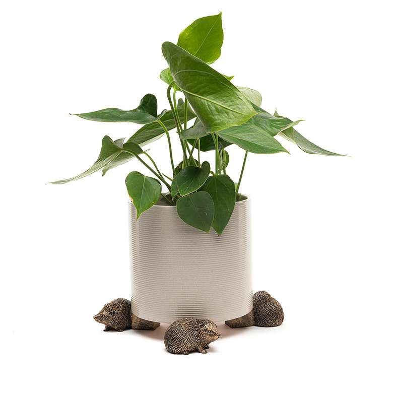Potty Feet Piedini Per Vasi A Tema Shih Tzu – Colore Bronzo – Set Da 3 – Migliorano Drenaggio E Circolazione Dell'Aria, Proteggono Pavimenti E Tappeti
