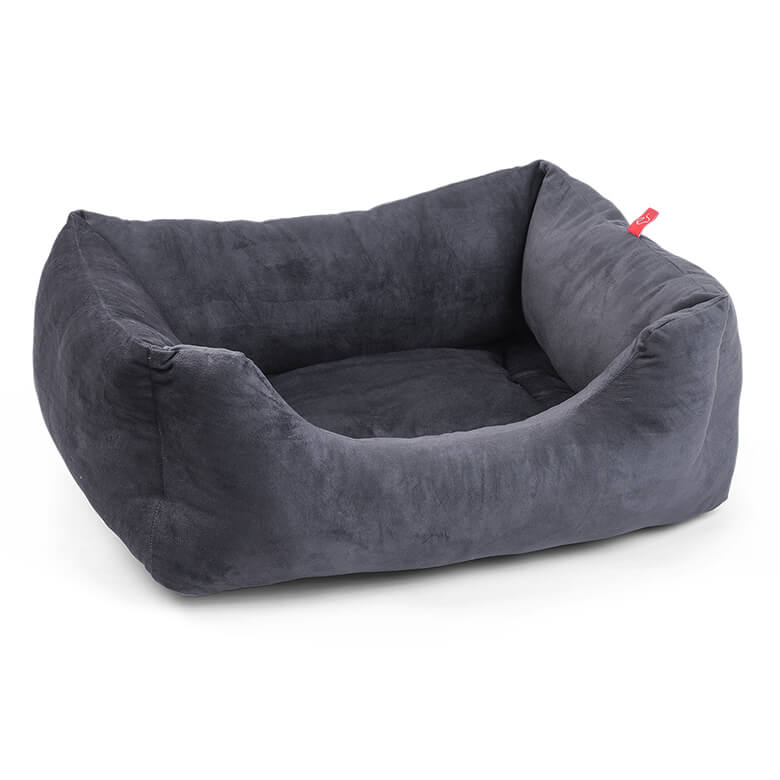 Grey top dogs bed
