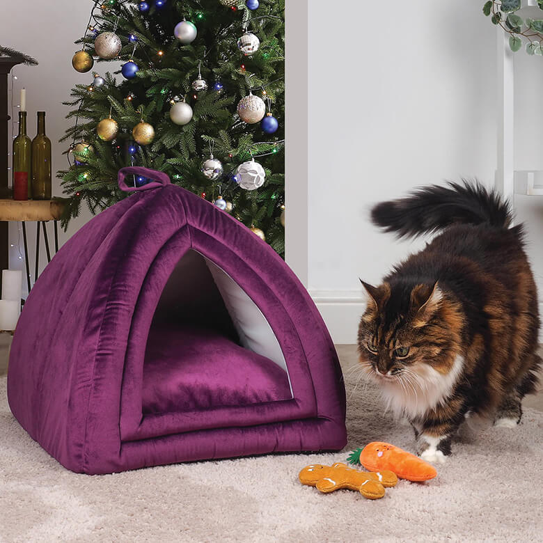 Cat igloo shop