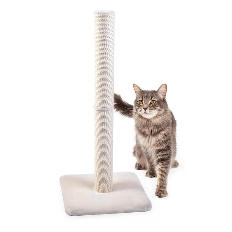 Deluxe cat scratching post hotsell