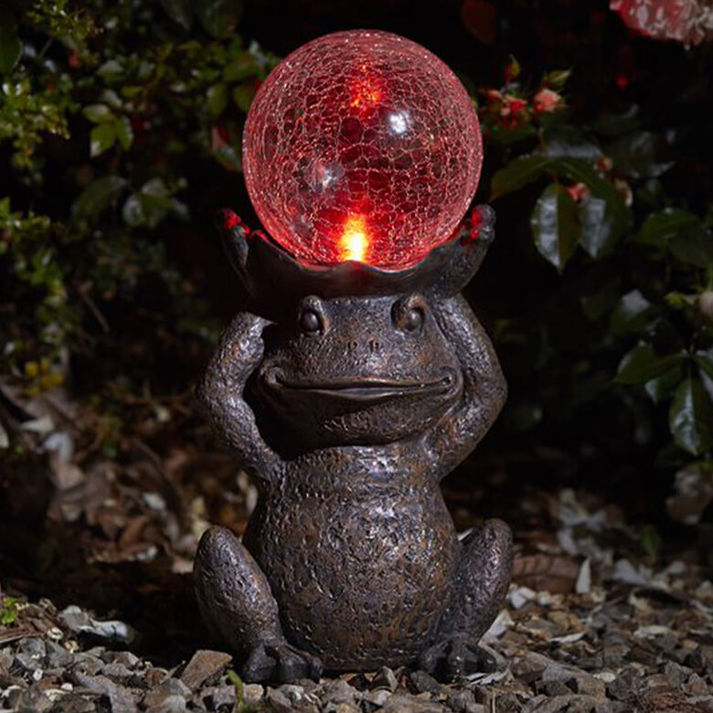 Solar Gazing Frog Coopers Of Stortford