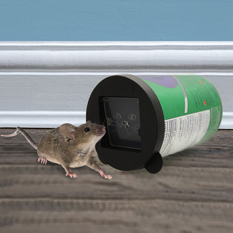 Mouse Can Traps Pack of 4