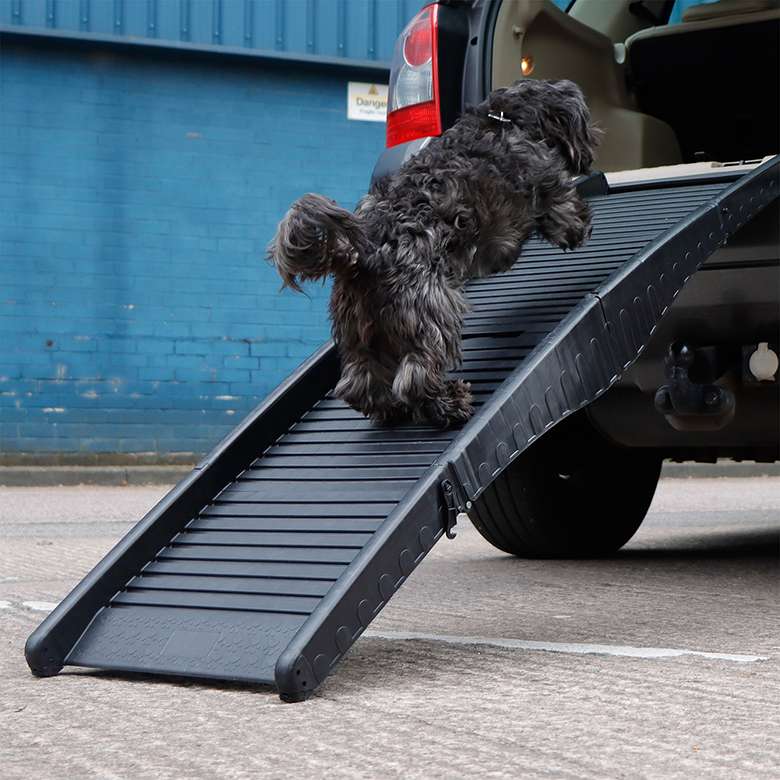 Folding dog ramp hotsell