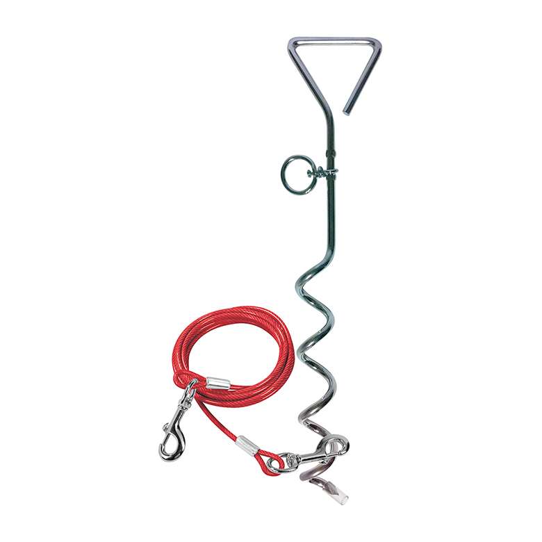 Dog tether lead discount