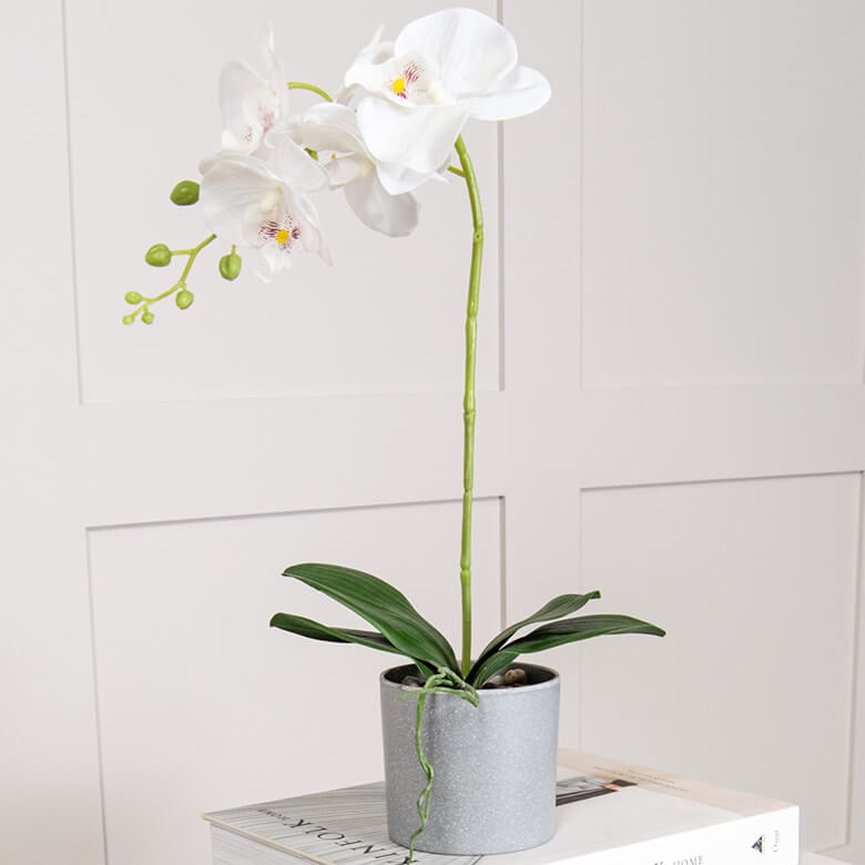 Artificial Pink Orchid Single In Pot 49cm Coopers Of Stortford