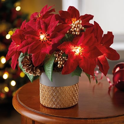 LED Poinsettia Plant