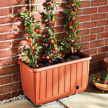 Wheeled Tomato Planter
