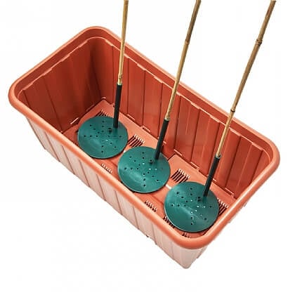 Pack of 3 Cane Supports