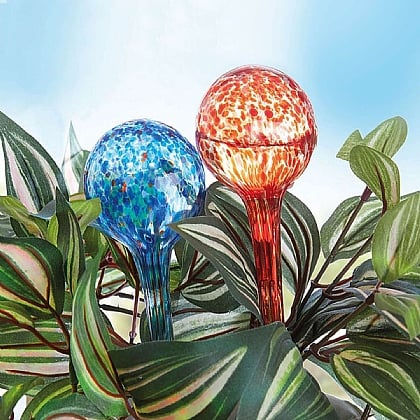 Set of 6 Watering Globes