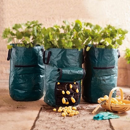 Pack of 2 Potato Planters
