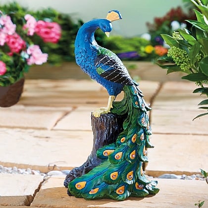 Solar Peacock