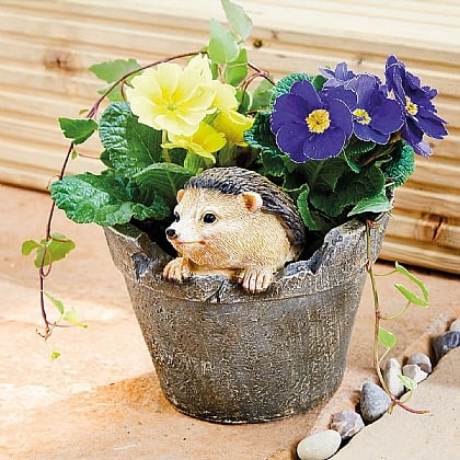 Hedgehog Planter