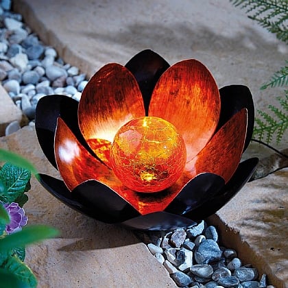 Solar Lotus Flower
