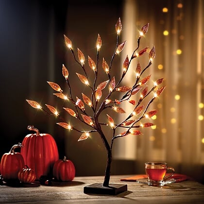 How to Make Your Home Feel Welcoming