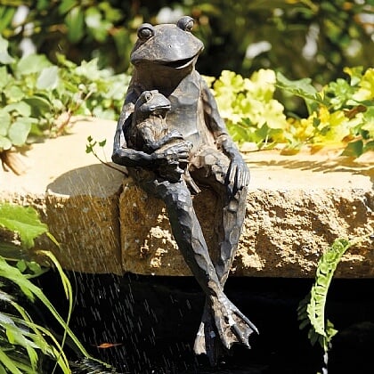 Sitting Frog