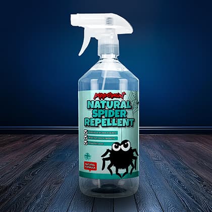 Peppermint Spider Repeller
