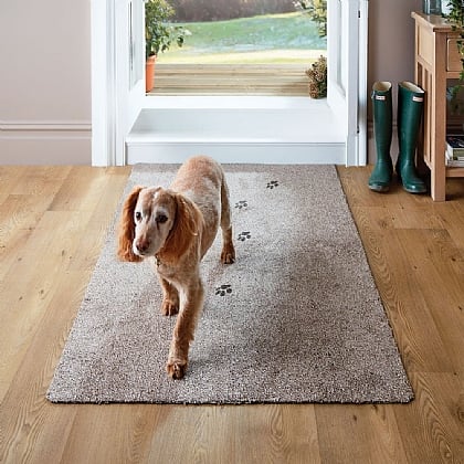 Dirt Buster Mats