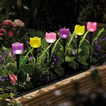 Pack of 6 Tulip Solar Lights