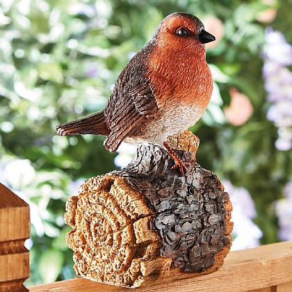 Singing Robin