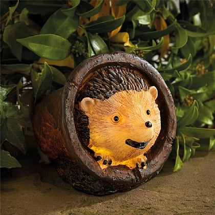 Hedgehog Solar Light