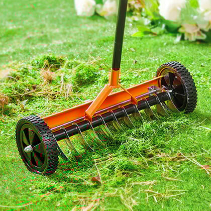 How to make a lawn green and thick