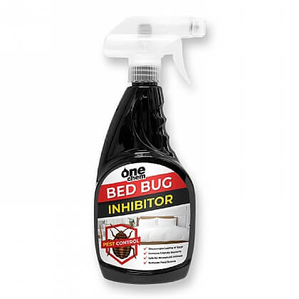 Bed Bugs | Mattress, Carpet & Upholstery Care | Cleaning & Household ...