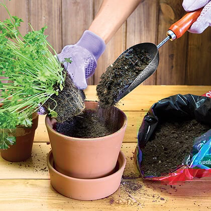 The Essential May Gardening Checklist