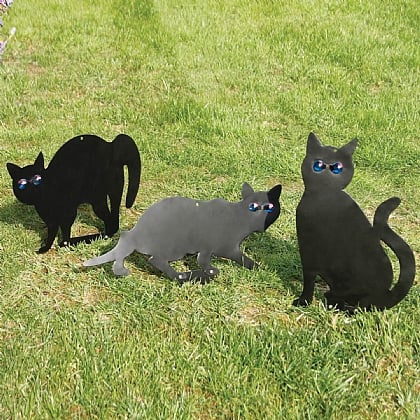 How do I stop cats pooing on my garden?