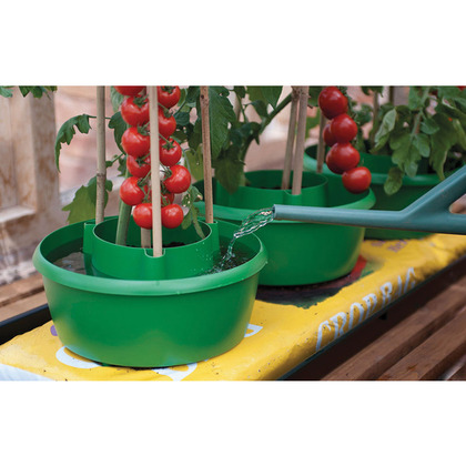 Set of 3 Plant Halos