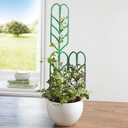Set of 6 Houseplant Supports