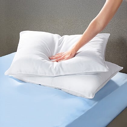 Pair of Bounce Back Pillows