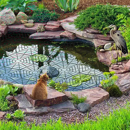 September is a busy season for your garden!