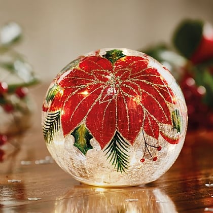 Poinsettia Globe